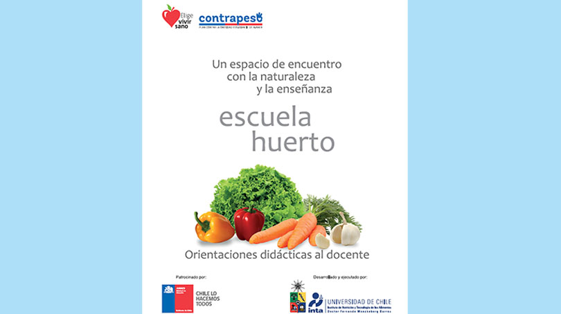 Los huertos escolares como herramienta pedagógica - Instituto de Nutrición  y Tecnología de los Alimentos - Universidad de Chile